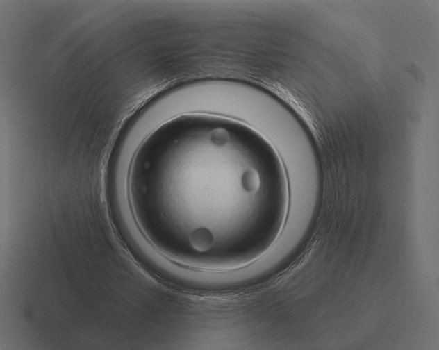 X0000116280581200912291354