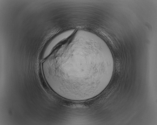 X0000116280586200912291354