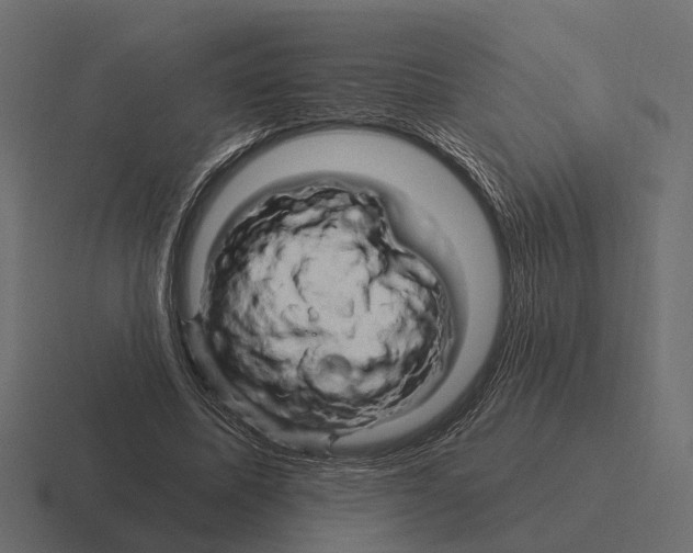 X0000116280587200912291354