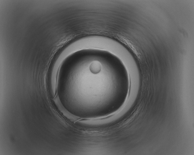 X0000116280589200912291354