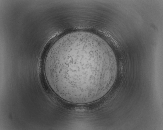 X0000116280591200912291354