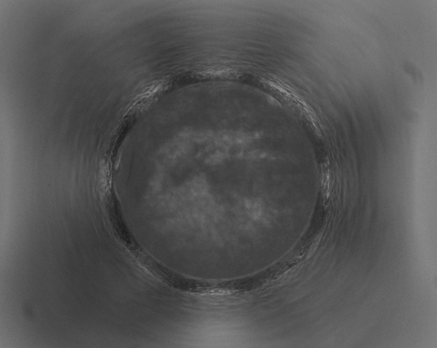 X0000116280593200912291354