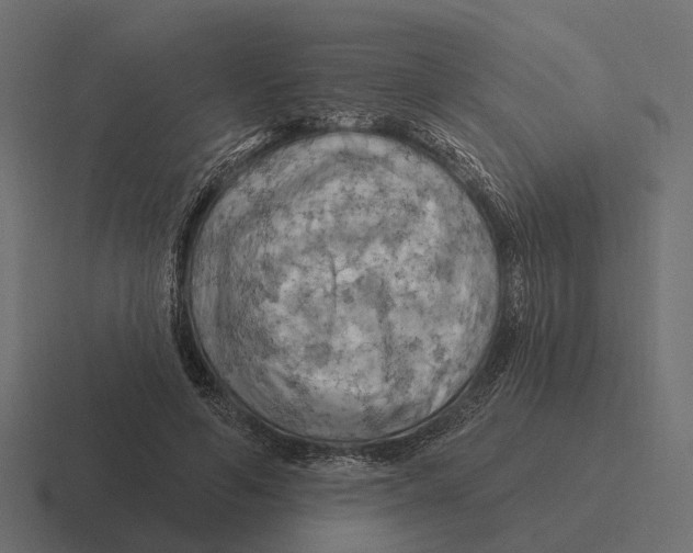 X0000116280594200912291354