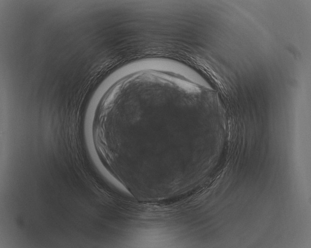 X0000116280597200912291354