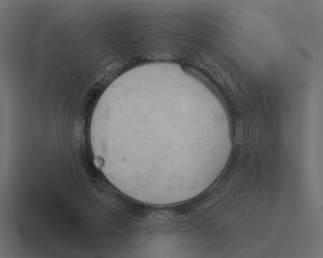 X0000116280599200912291354