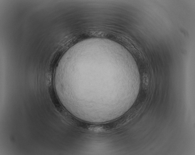 X0000116280602200912291354