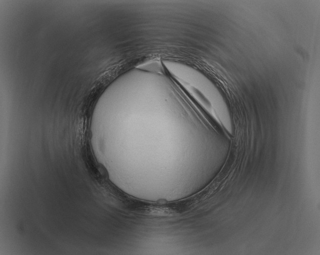 X0000116280605200912291354