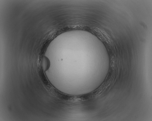 X0000116280607200912291354