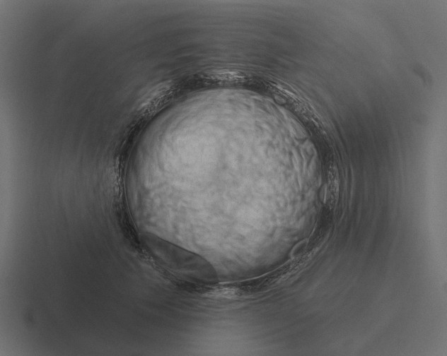 X0000116280609200912291354