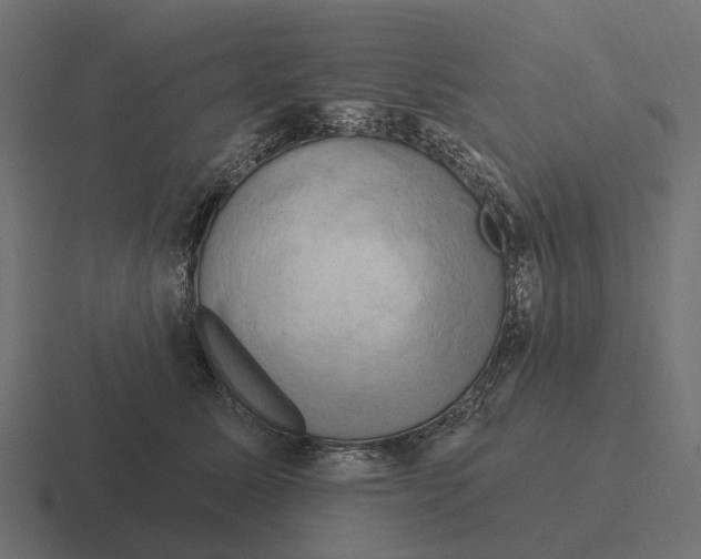 X0000116280611200912291354