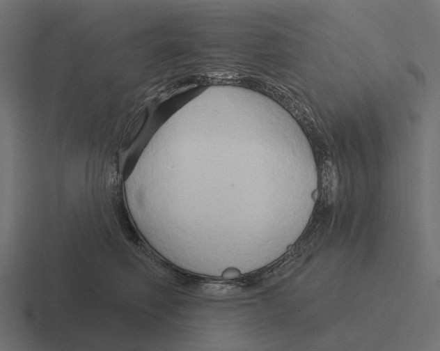 X0000116280614200912291354