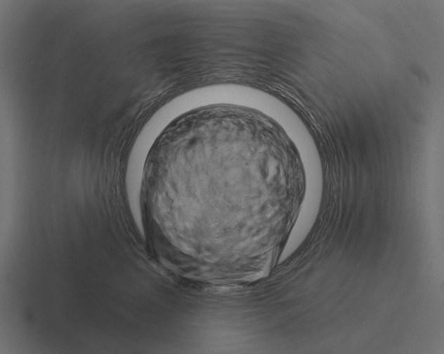X0000116280617200912291354