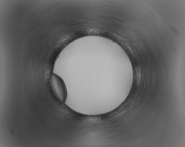 X0000116280619200912291354