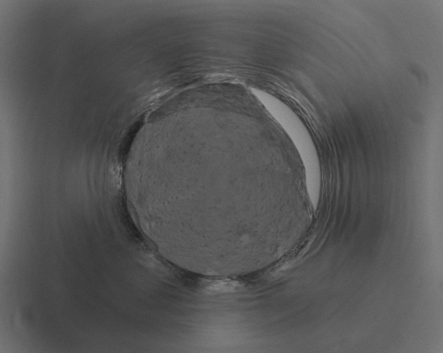 X0000116280621200912291354