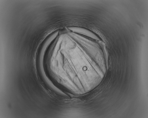 X0000116280626200912291353
