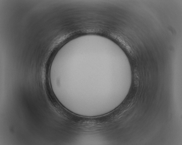 X0000116280631200912291353