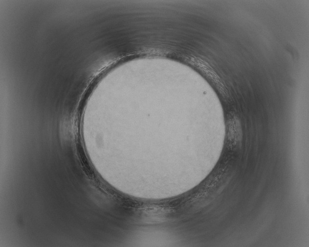 X0000116280632200912291353