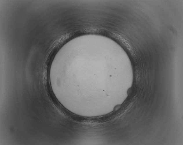 X0000116280633200912291353