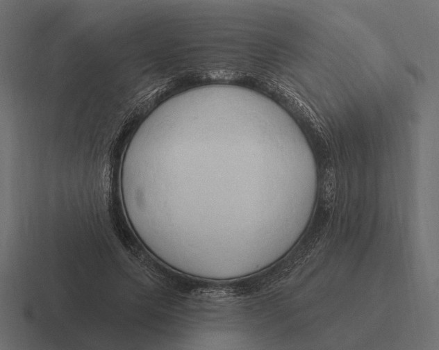 X0000116280639200912291353
