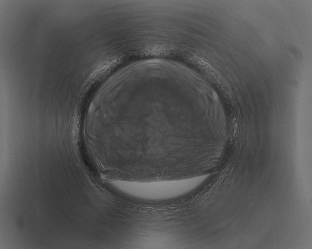 X0000116280640200912291353