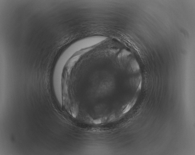 X0000116280641200912291353