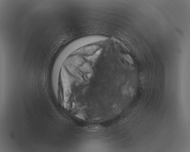 X0000116280642200912291354