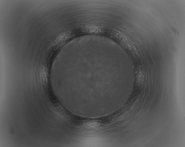 X0000116280643200912291354