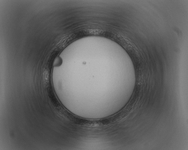 X0000116280646200912291354