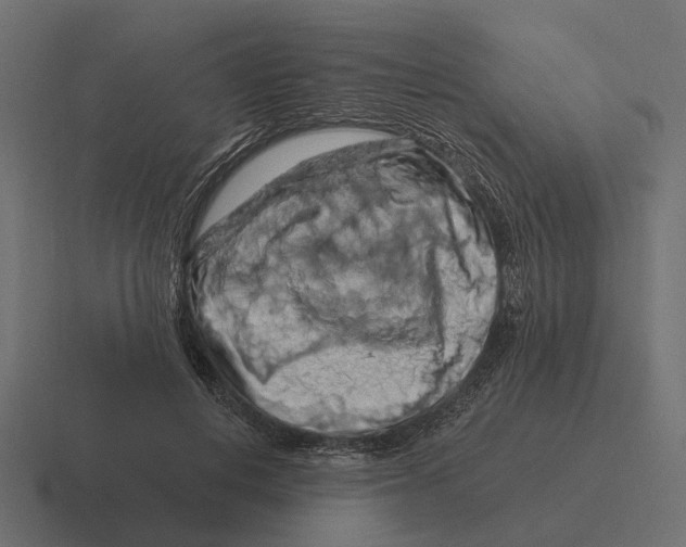 X0000116280648200912291354