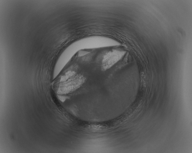 X0000116280650200912291354
