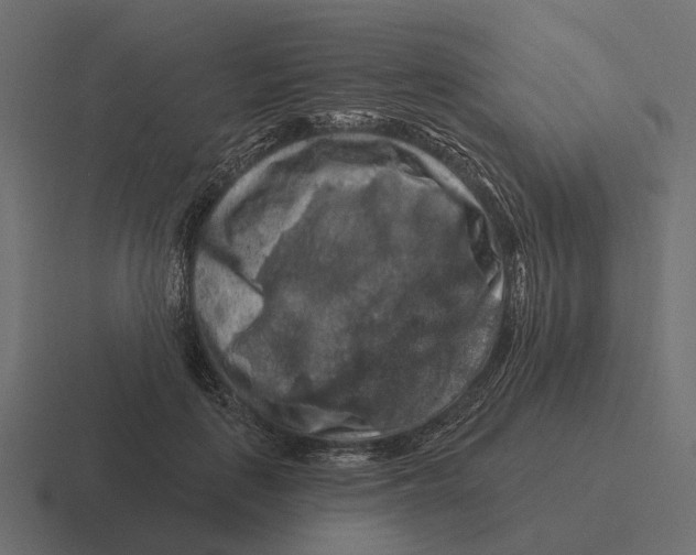 X0000116280651200912291354