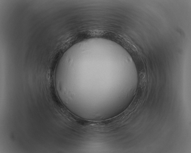 X0000116280655200912291354