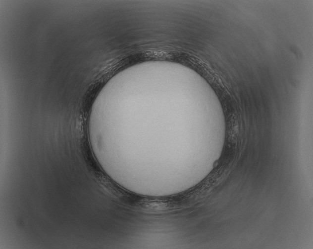 X0000116280658200912291354