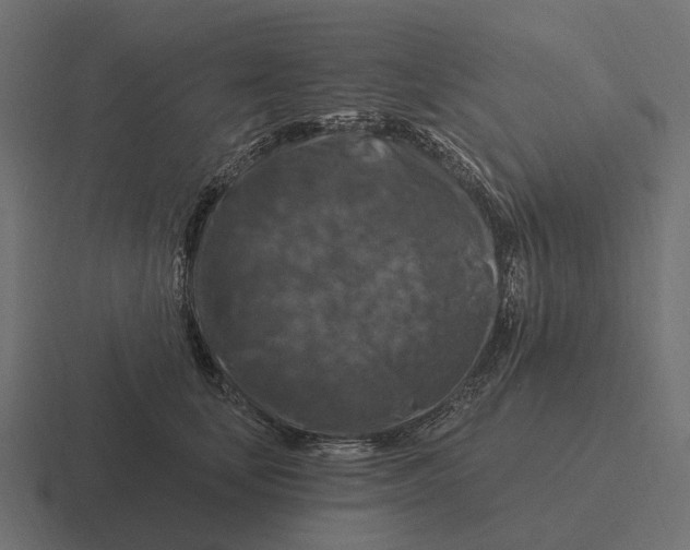 X0000116280659200912291354