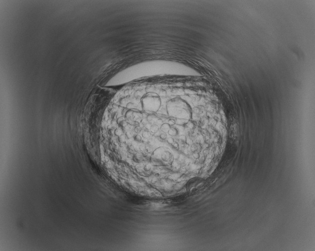 X0000116280662200912291354