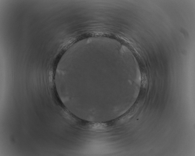 X0000116280670200912291354