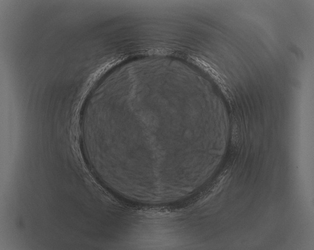 X0000116280673200912291353