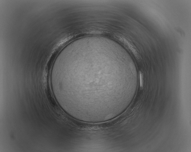 X0000116280675200912291353