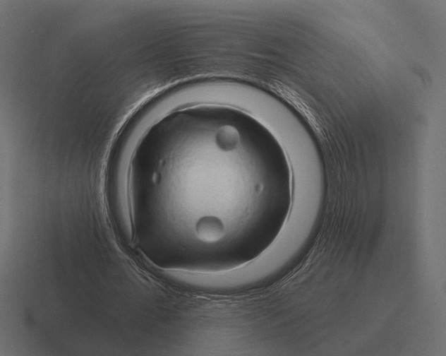 X0000116280676200912291353