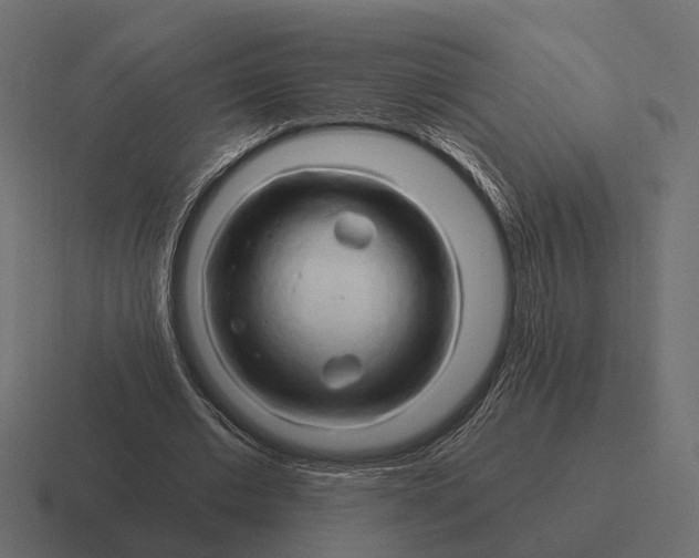 X0000116280677200912291353