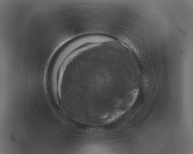 X0000116280680200912291353
