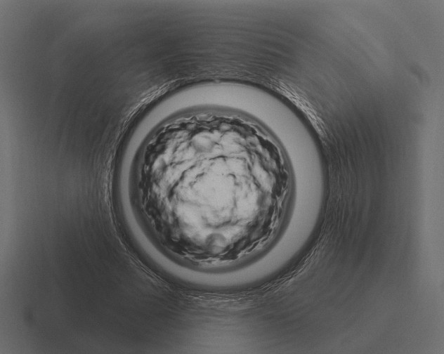X0000116280681200912291353
