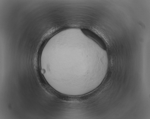 X0000116280682200912291353