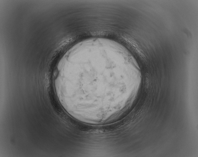 X0000116280687200912291353