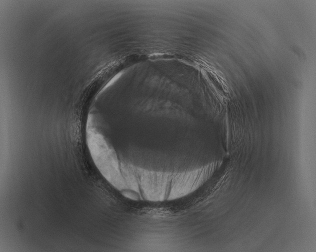 X0000116280689200912291353