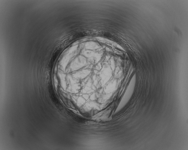 X0000116280699200912291353