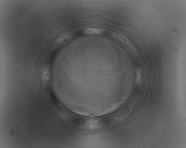 X0000116280701200912291353