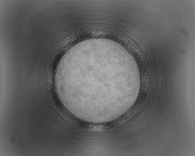 X0000116280710200912291353