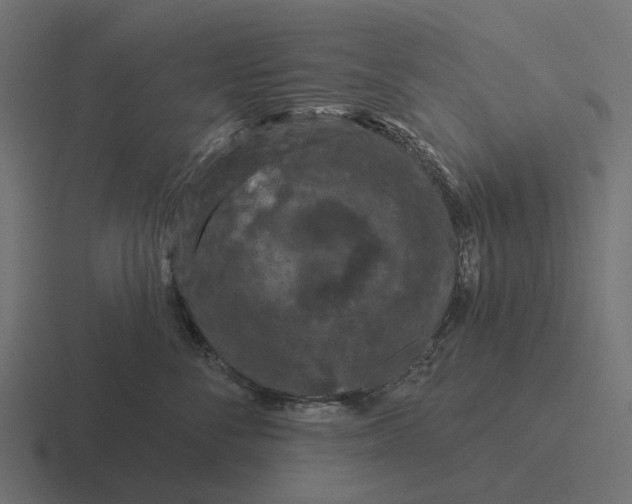 X0000116280716200912291353