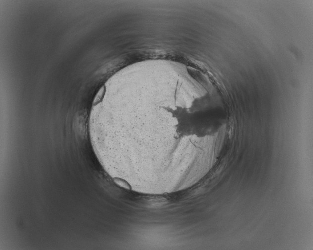 X0000116280719200912291353